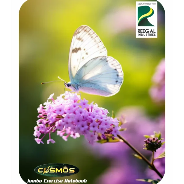 Cosmos Jumbo - Image 2