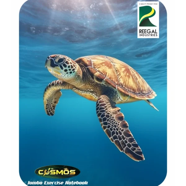 Cosmos Jumbo - Image 3